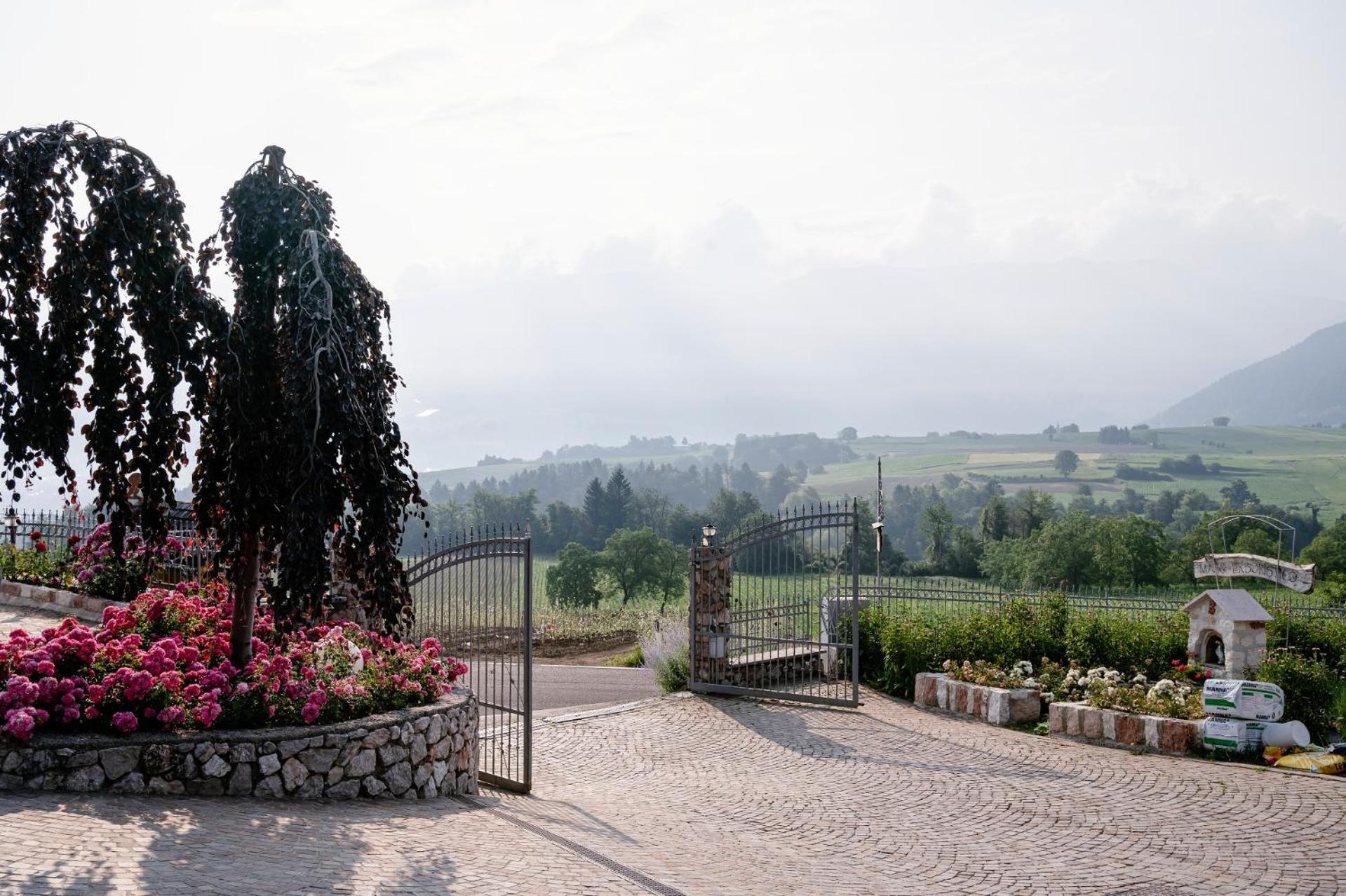 Agritur Maso Alle Rose B&B E Restaurant Balbido-rango Exterior photo