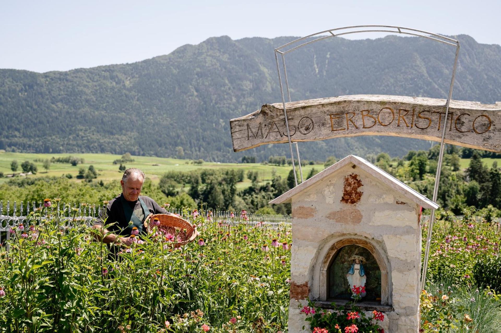 Agritur Maso Alle Rose B&B E Restaurant Balbido-rango Exterior photo